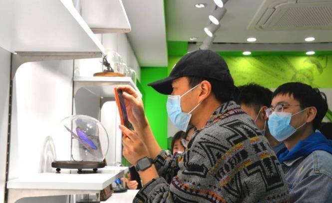 即墨乡村建起昆虫科普馆 400多件标本亮相